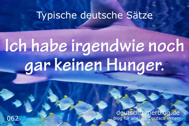 Sätze auf Deutsch lernen - Ich habe irgendwie noch gar keinen Hunger