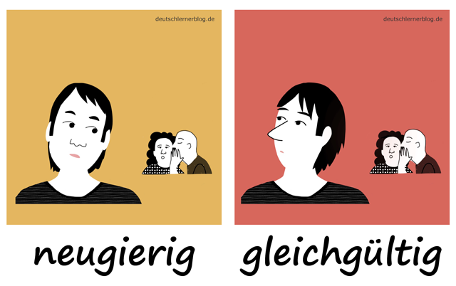 neugierig - gleichgültig - Neugier - Adjektive lernen - 200 wichtigste deutsche Adjektive mit Bildern - Wortschatz mit Bildern