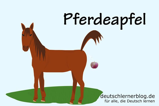 Pferdeapfel - deutsches Obst - deutsches Essen - deutsche Rezepte - deutsche Speisen