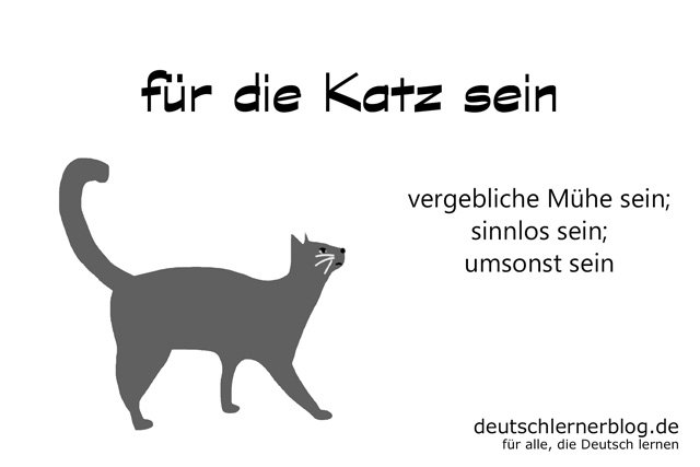 für die Katz sein - deutsche Redewendungen mit Bildern - delia tello