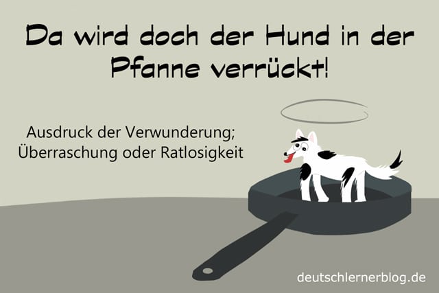 Da wird der Hund in der Pfanne verrückt! Deutsche Redewendungen /151