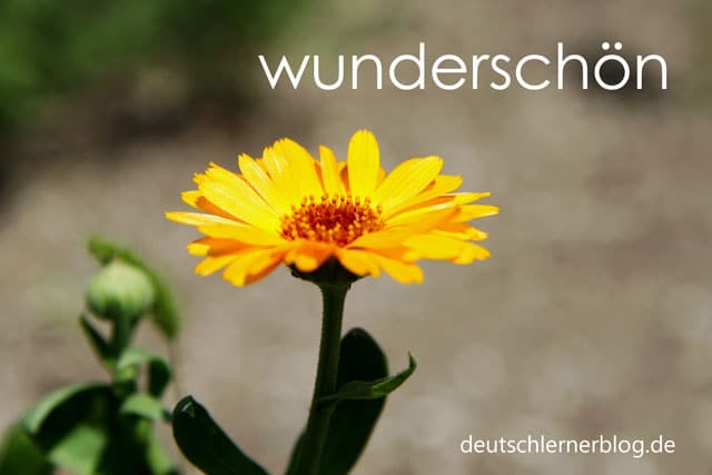 schöne deutsche Wörter mit Bildern - wunderschön