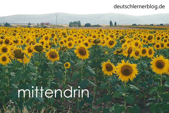 mittendrin - schöne deutsche Wörter mit Bildern