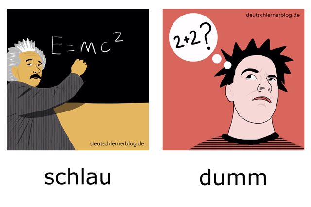 schlau - dumm