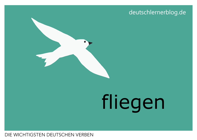 fliegen - illustrierte Verben - Bilderkarten