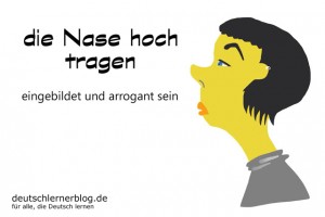Nase hoch tragen - hochnäsig - Redewendungen Bilder deutschlernerblog